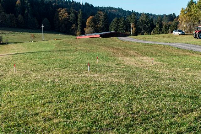 Vermessungspflöcke stecken auf einer gemähten Wiese am Waldrand den künftigen Bauplatz ab