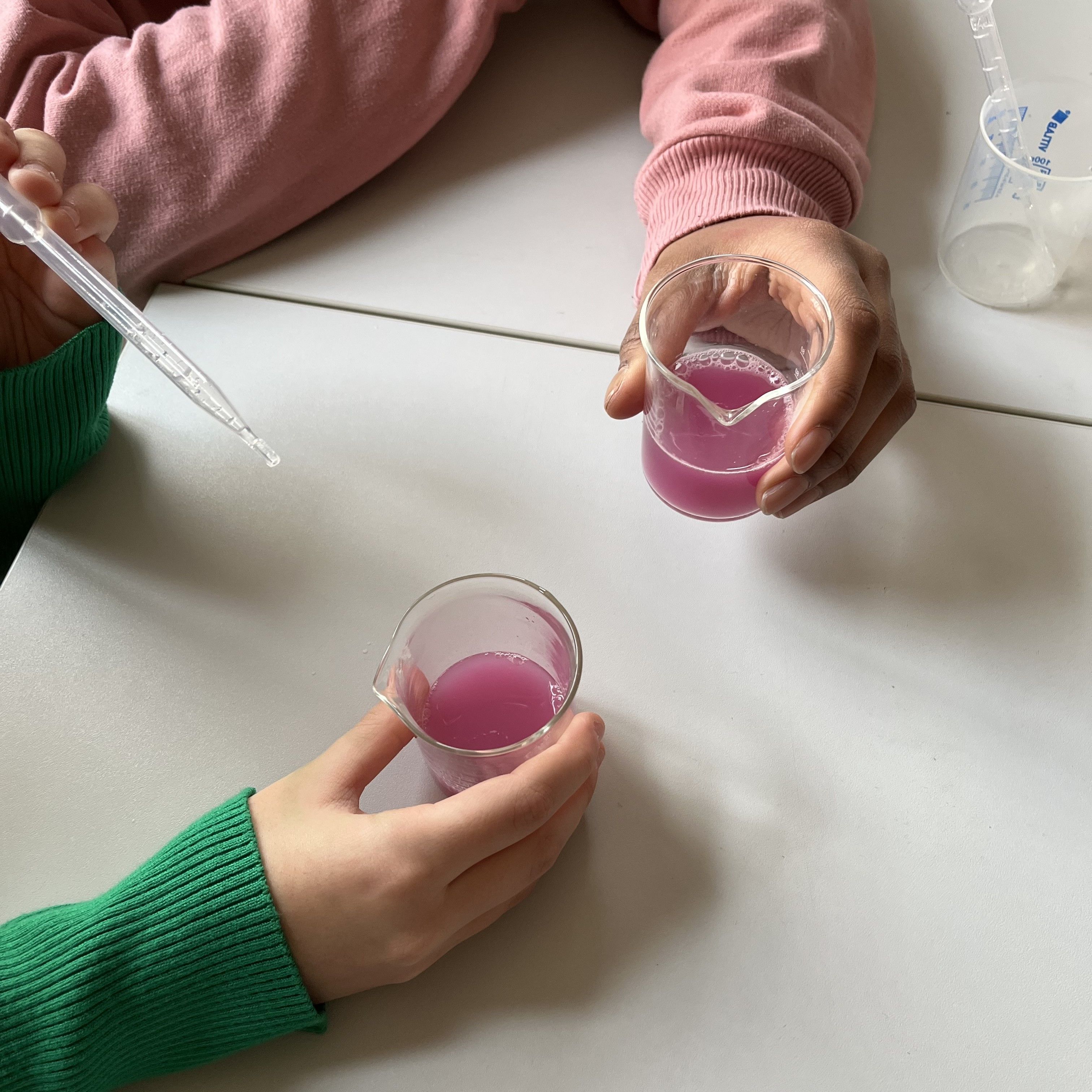 Zwei Hände halten je ein Becherglas mit pinkfarbener Flüssigkeit über einem weißen Tisch, daneben eine Kunststoffpipette
