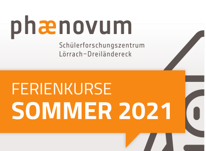 Ankündigung der phænovum-Ferienkurse im Sommer 2021